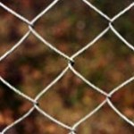 China Fence & Fencing Manufacturer Sourcing by Walker World Trade